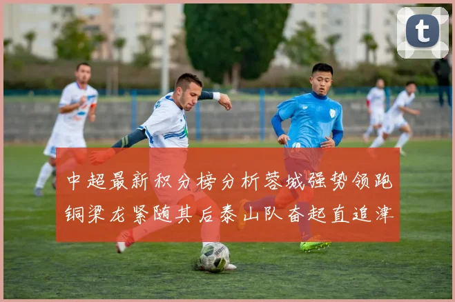 中超最新积分榜分析蓉城强势领跑铜梁龙紧随其后泰山队奋起直追津门虎仍需努力